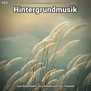 #01 Hintergrundmusik zum Einschlafen, für Chillout und zum Träumen - Entspannungsmusik zum Einschlafen und Durchschlafen