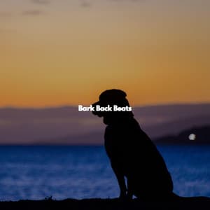Bark Back Beats - Paris Cafe Jazz