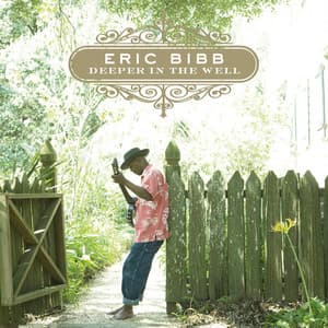 Deeper in the Well - Eric Bibb