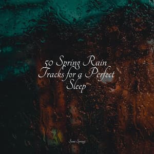 50 Spring Rain Tracks for a Perfect Sleep - Ready Baby Music!