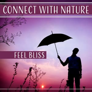 Connect with Nature: Feel Bliss – Gentle Soothing Sounds for Deep Sleep, Rest, Walk, Spirit Meditation, Anti Stress - Gentle Crystal Sounds Divine