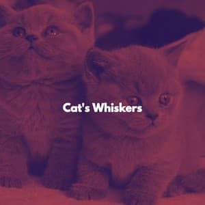 Cat's Whiskers - Cat Music Hour