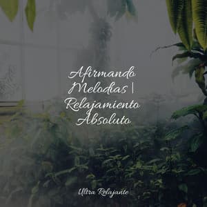 Afirmando Melodías | Relajamiento Absoluto - Sueño Profundo