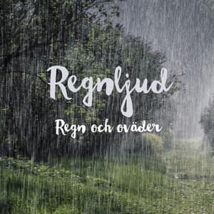 Regn och oväder - Regnljud