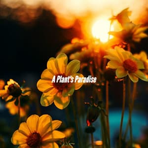 A Plant's Paradise - Instrumental Soft Jazz