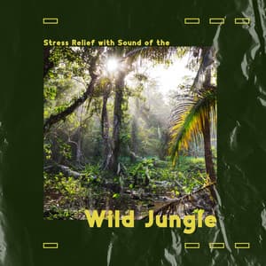 Peaceful Meditation for Stress Relief with Sound of the Wild Jungle - Antistress Music Collection