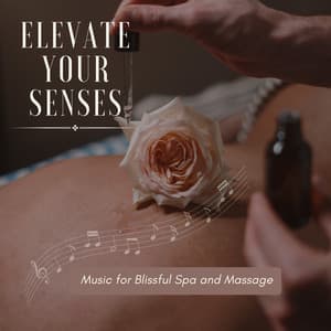 Elevate Your Senses: Music for Blissful Spa and Massage - 1 Hour Massage