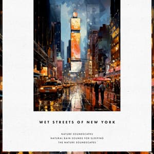 Wet Streets of New York - The Nature Soundscapes