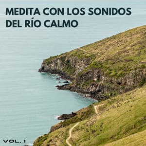 Medita Con Los Sonidos Del Río Calmo Vol. 1 - Sonidos de agua y río