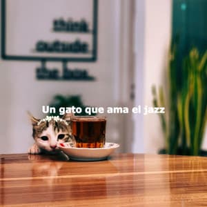 Un gato que ama el jazz - Jazz Lounge MIlano