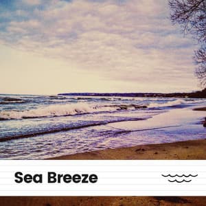 Sea Breeze - Relaxing Ocean Sounds