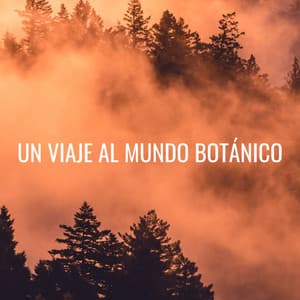 Un Viaje Al Mundo Botánico - Canal de la Naturaleza sin Interrupción