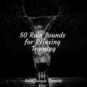 50 Rain Sounds for Relaxing Training - Relaxation