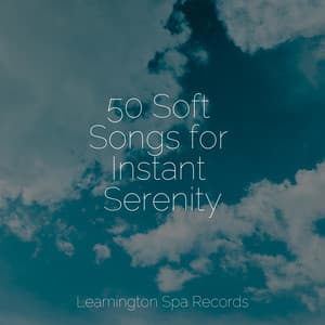 50 Soft Songs for Instant Serenity - Sonidos de la Naturaleza
