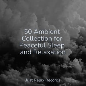 50 Ambient Collection for Peaceful Sleep and Relaxation - ASMR HD