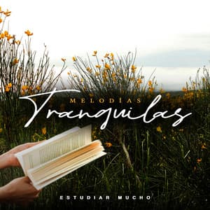Melodías Tranquilas - Estudiar Mucho