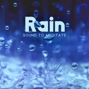 Rain Sound To Meditate - Wild Thomas