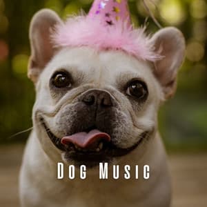 Dog Music: Melodic Tunes for Pooches - Easy Sunday Listening