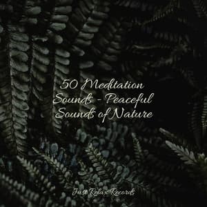 50 Meditation Sounds - Peaceful Sounds of Nature - Calm Music for Studying