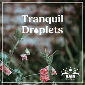Tranquil Droplets - Rain Palace