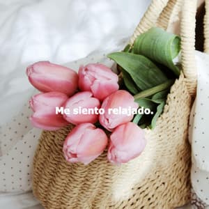 Me siento relajado. - Calm Acoustic Cafe Music