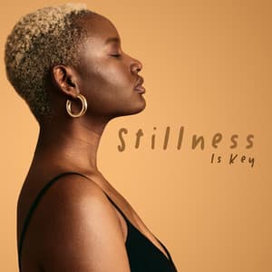 Stillness Is Key: Calm and Do Nothing Meditation - Ministry of Relaxation Music