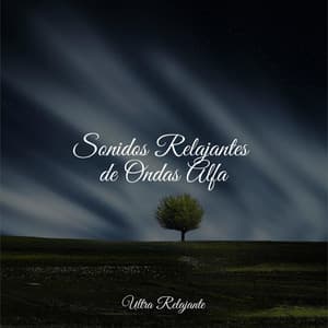 Sonidos Relajantes de Ondas Alfa - Naturaleza Relajacion