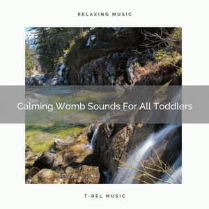 Calming Womb Sounds For All Toddlers - The White Noise Zen & Meditation Sound Lab