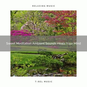 Sweet Meditation Ambient Sounds Heals Your Mind - Spa And Soft Relax