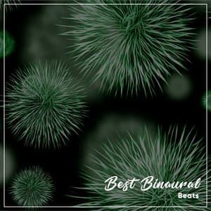 12 Loopable Drone Sounds for Higher Focus - Binaural Reality