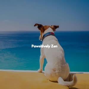 Pawsitively Zen - Piano Lounge Smooth Jazz