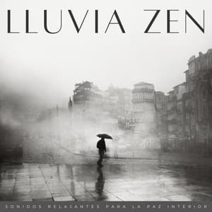 Lluvia Zen: Sonidos Relajantes Para La Paz Interior - ASMR Lluvioso