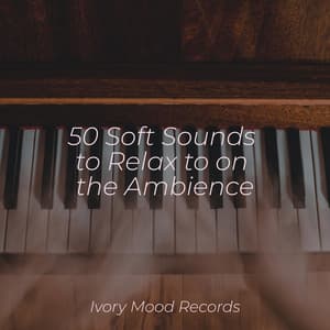 50 Soft Sounds to Relax to on the Ambience - Ivory Mood