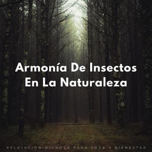 Armonía De Insectos En La Naturaleza: Relajación Dichosa Para Yoga Y Bienestar - Televisión de la naturaleza
