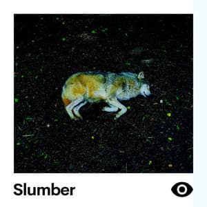 Slumber - Relaxing Music For Sleeping