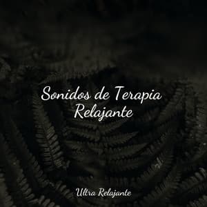 Sonidos de Terapia Relajante - Naturaleza Relajacion
