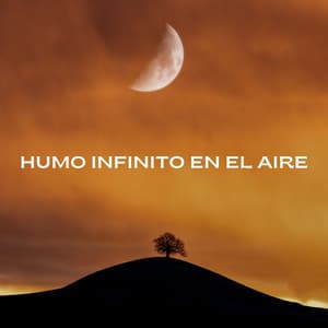 Humo Infinito En El Aire - Muestreo estéreo al aire libre