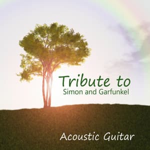Acoustic Guitar: Tribute to Simon and Garfunkel - Acoustic Guitar Tribute Players