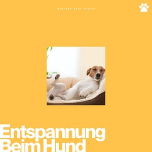 Entspannung Beim Hund - Hundemusikk