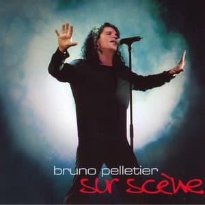 Sur scène - Bruno Pelletier
