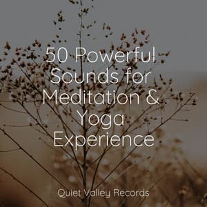 50 Powerful Sounds for Meditation & Yoga Experience - Musica Relajante