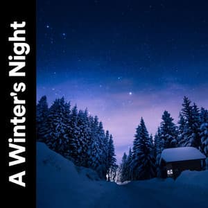 A Winter's Night - Weather and Nature Recordings