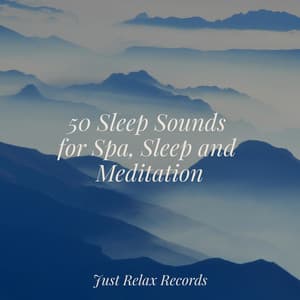 50 Sleep Sounds for Spa, Sleep and Meditation - Lounge Music Café