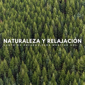 Naturaleza Y Relajación: Canto De Pájaros Para Meditar Vol. 1 - Efectos de sonido de la madre naturaleza