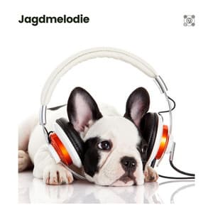 Jagdmelodie - Hundemusik