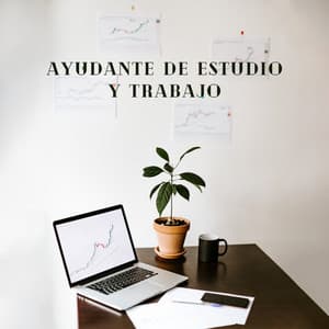 Ayudante de Estudio y Trabajo: Aprenda Eficazmente, Trabaje con Perseverancia, Logre el Éxito - Academia de Música para Estudiar Fácilmente