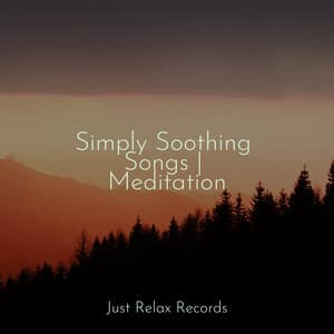 Simply Soothing Songs | Meditation - Mantra para Dormir