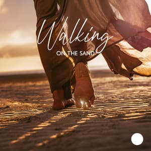 Walking on the Sand - Stress Relieving Music Consort