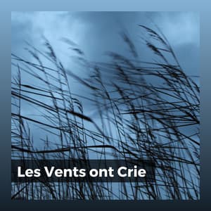 Les Vents ont Crié - Orage HD