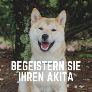 Begeistern Sie Ihren Akita - Hundemusik